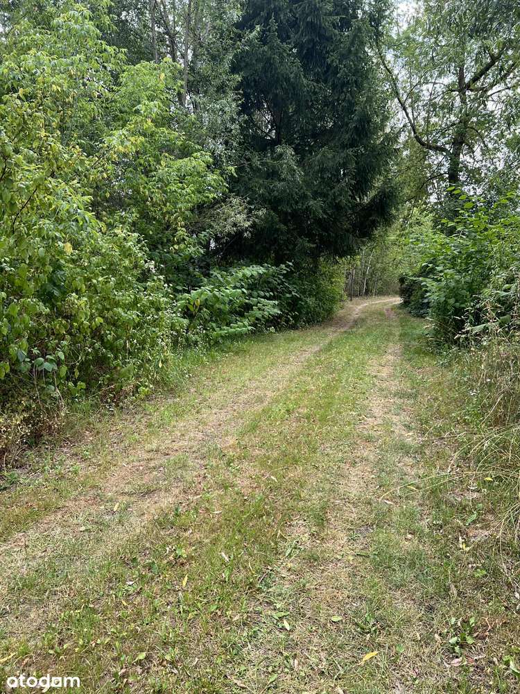 Sprzedam działkę Adamówek - Pełny obrazek: 3/3