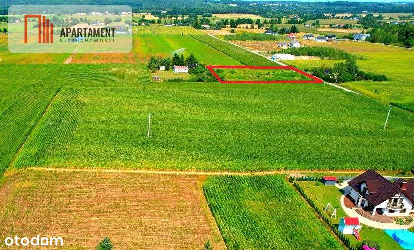 Toporzysko 3000m2 z Mpzp spokój cisza - Pełny obrazek: 4/8