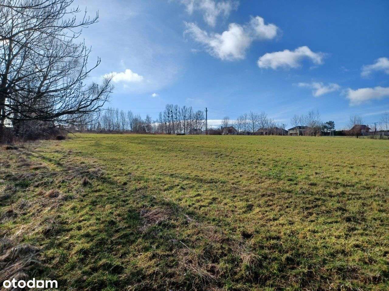 Działka w dobrej lokalizacji - Pełny obrazek: 5/8