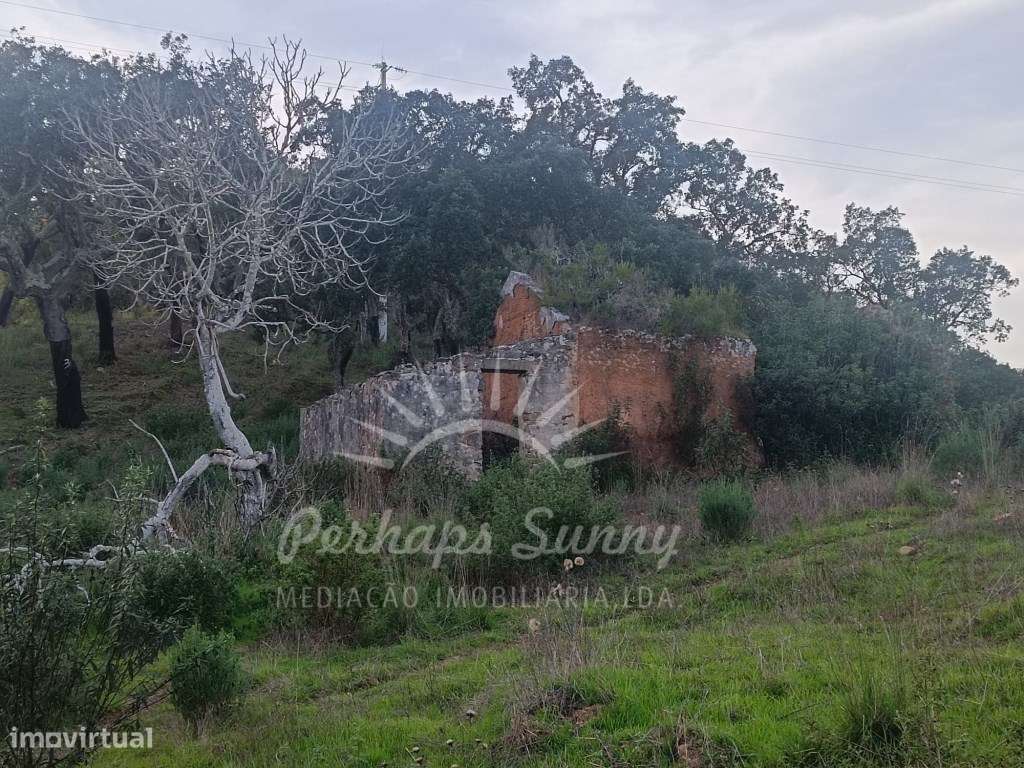 Terreno com Ruina - Grande imagem: 4/20