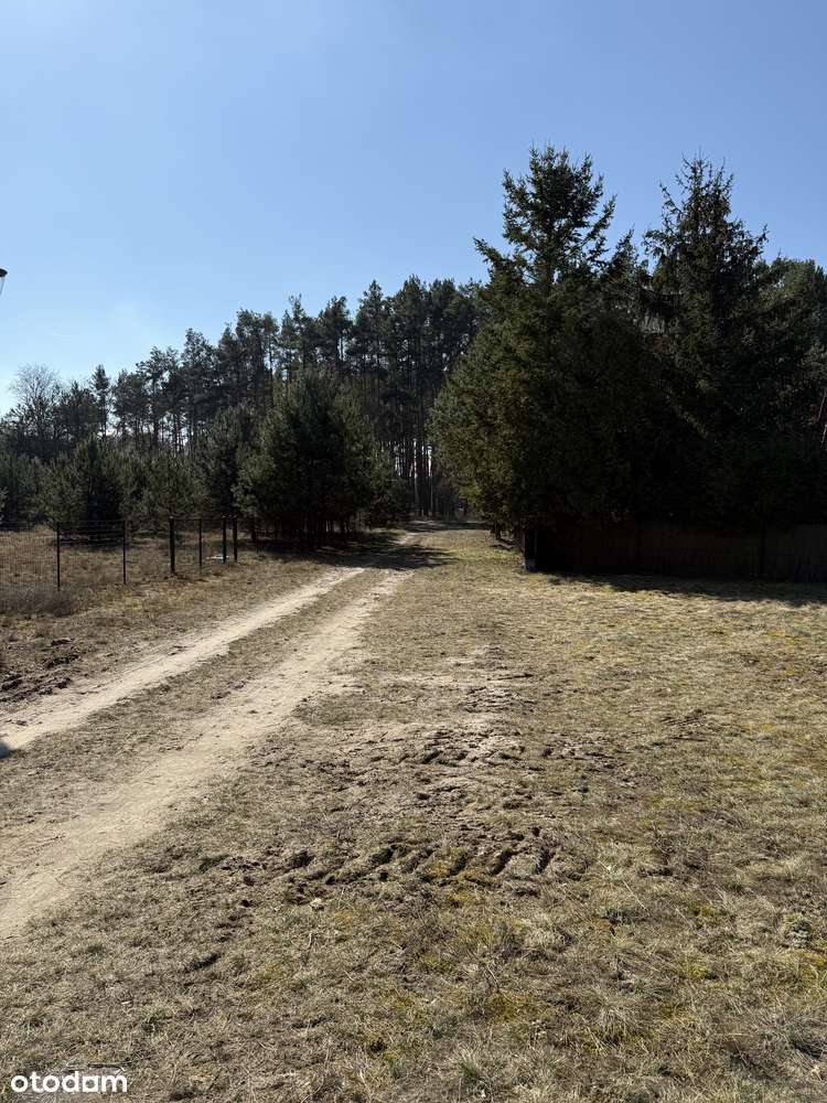 Urokliwa działka budowlana nad jeziorem Laskowskim (200 m do wody)-12