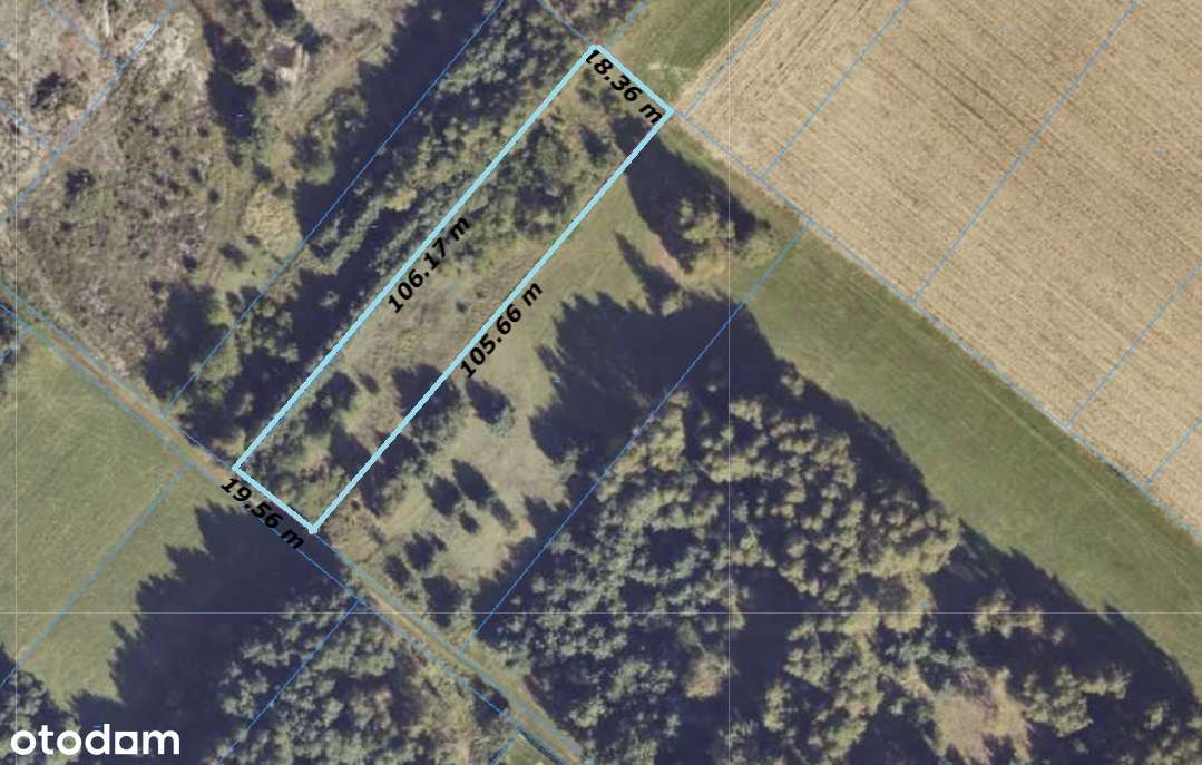 ⭐DZIAŁKA 96⭐ KOŹMINEK⭐ w pobliżu LAS⭐ - Pełny obrazek: 4/5