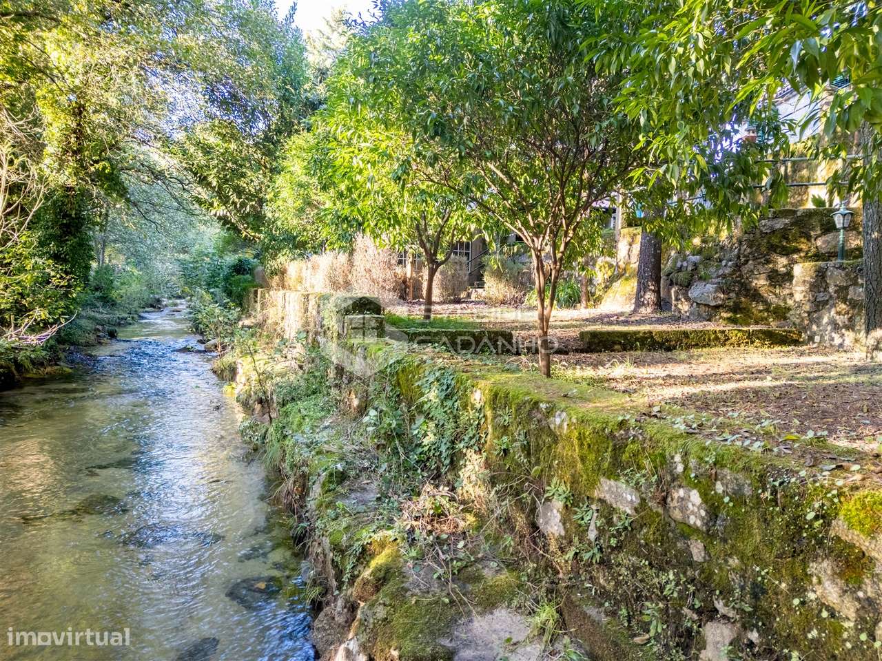 Quinta T3 Venda em Castelo Novo,Fundão-26