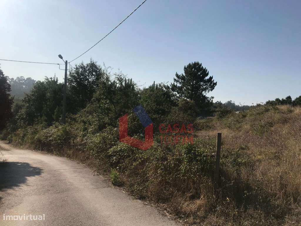 Terreno com 1800m2 para construção de moradia, em S. Jorge, Calvari... - Grande imagem: 2/6