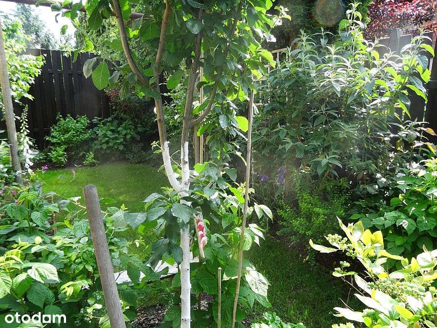 Wrocław , 297m2 , 5 pokoi , 2 łazi. , GARAŻ , OGRÓD-11