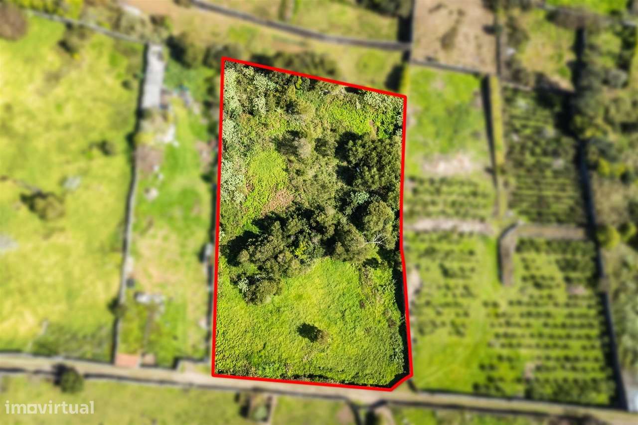 Terreno - Nossa Sra. do Rosário - Grande imagem: 2/5
