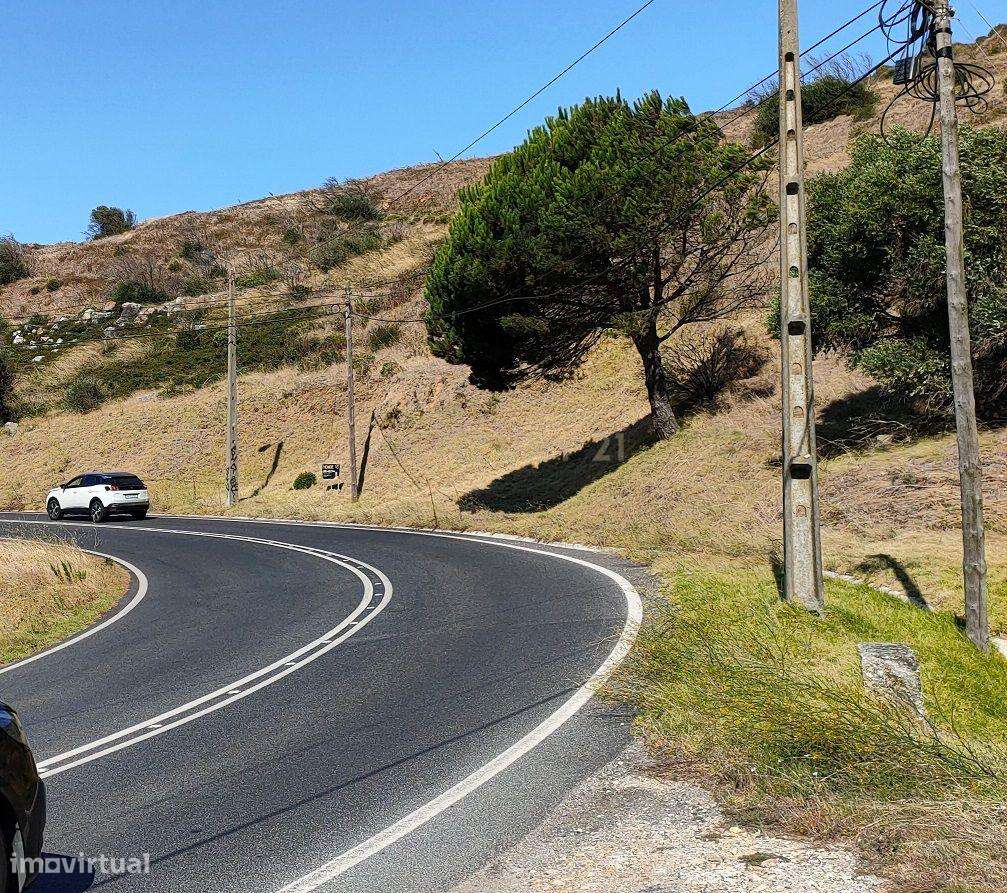 TERRENO EM MALVEIRA DA SERRA - Grande imagem: 4/16