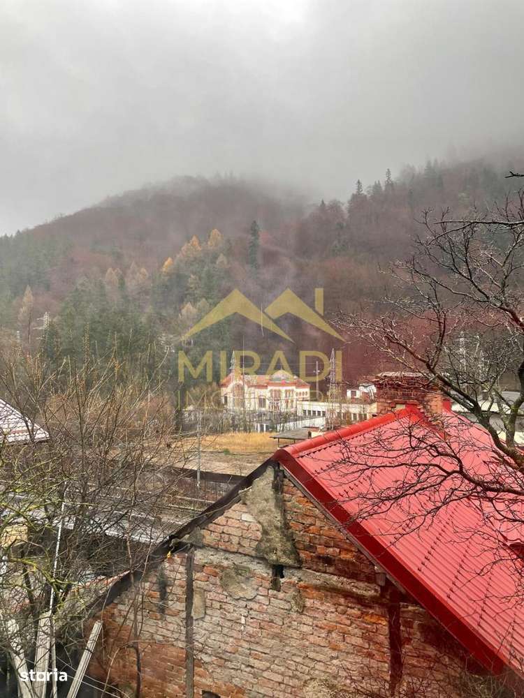 Vanzari Apartamente 8 Camere-3