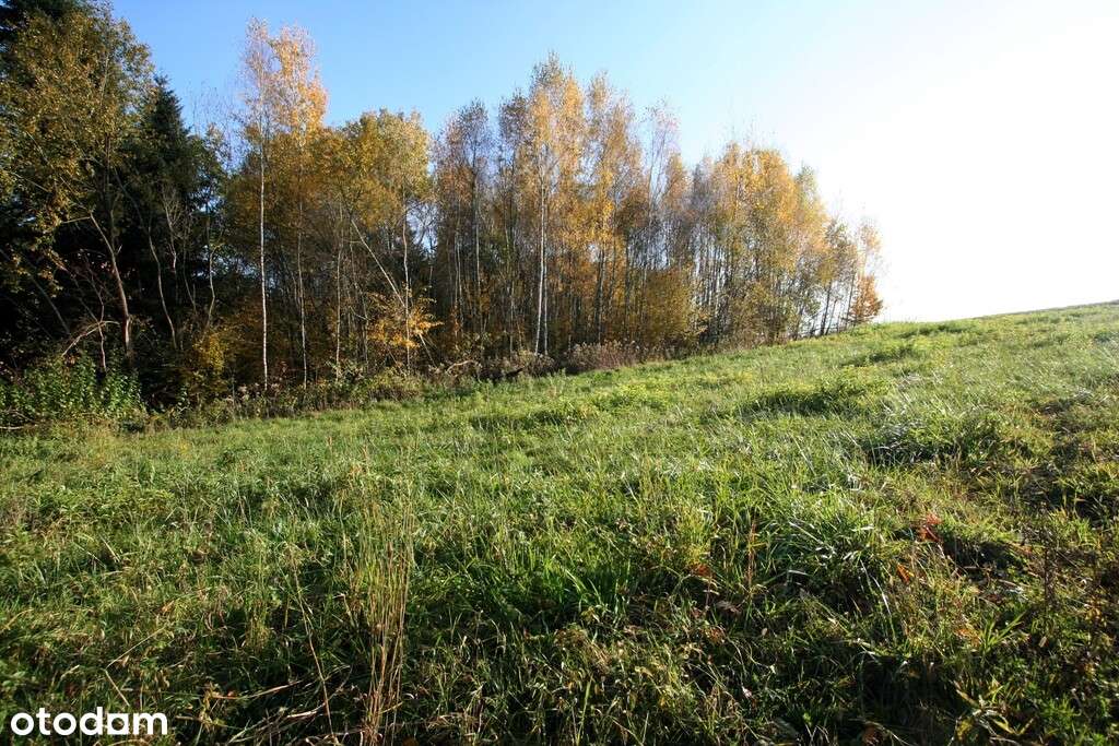Piękne miejsce pod budowę domu na zgłoszenie - Pełny obrazek: 4/4