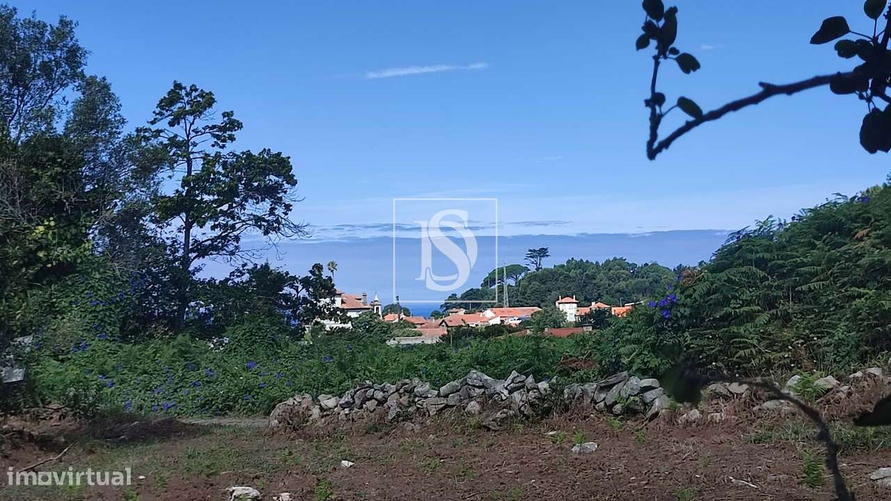 Terreno em Afife com Vista Mar - Grande imagem: 2/17