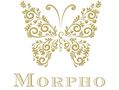 Real Estate agency: Morpho Real Estate, Lda