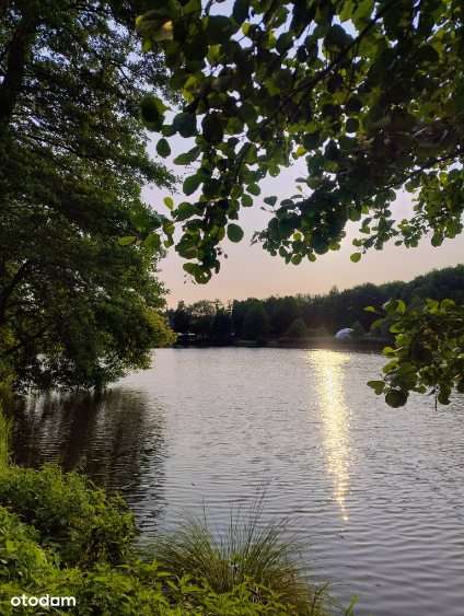 Poznań Antoninek -ZMIANA CENY-18