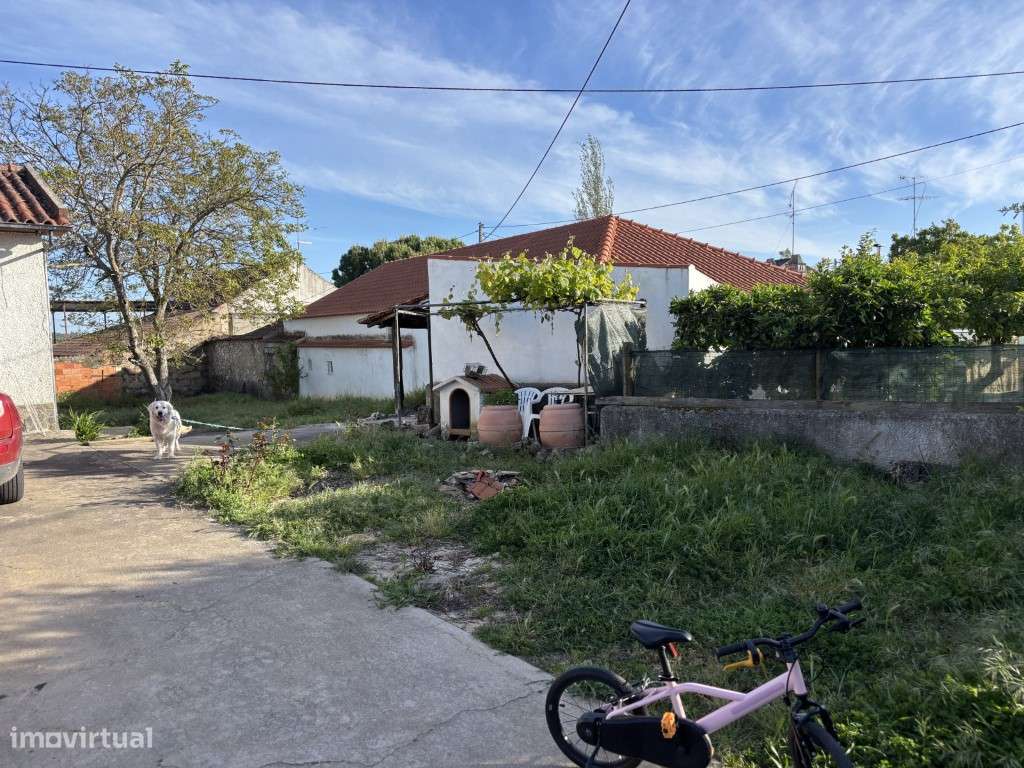 Vendese Quinta com Casa T4, Adega, Lagar e Terreno com Árvores de F...-29