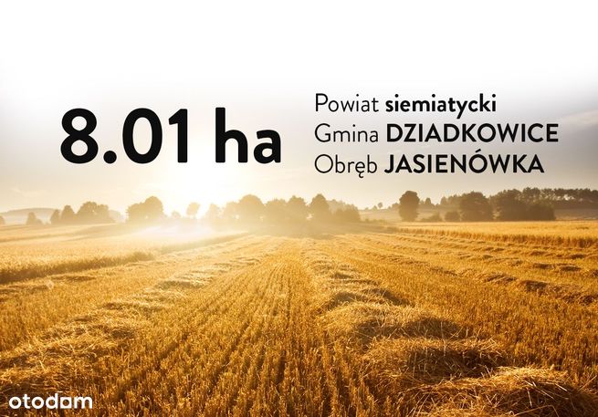 Ziemia rolna 8.01ha - Powiat siemiatycki
