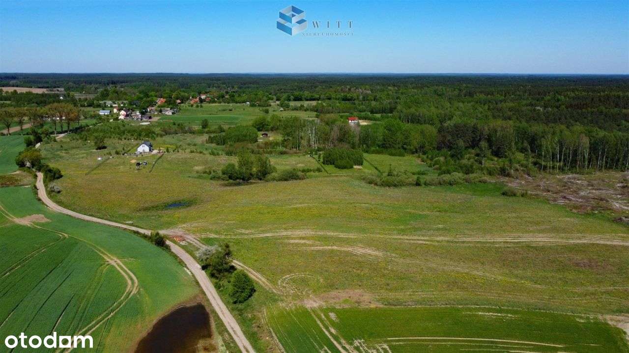Elgnówko- widokowe działki przy lesie państwowym. - Pełny obrazek: 4/9