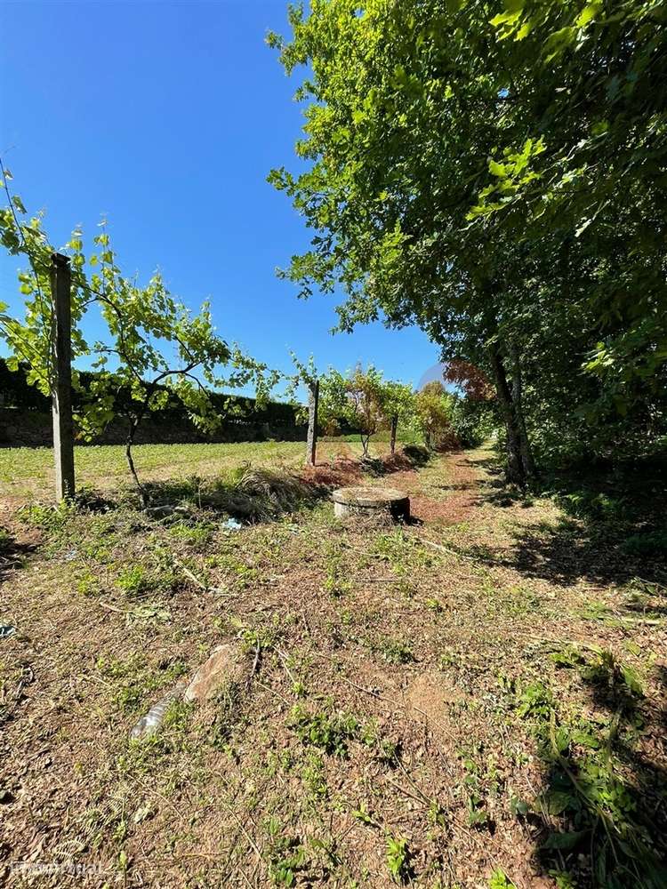 Terreno com 14.908m2 em Macieira da Lixa, Felgueiras - Grande imagem: 5/13