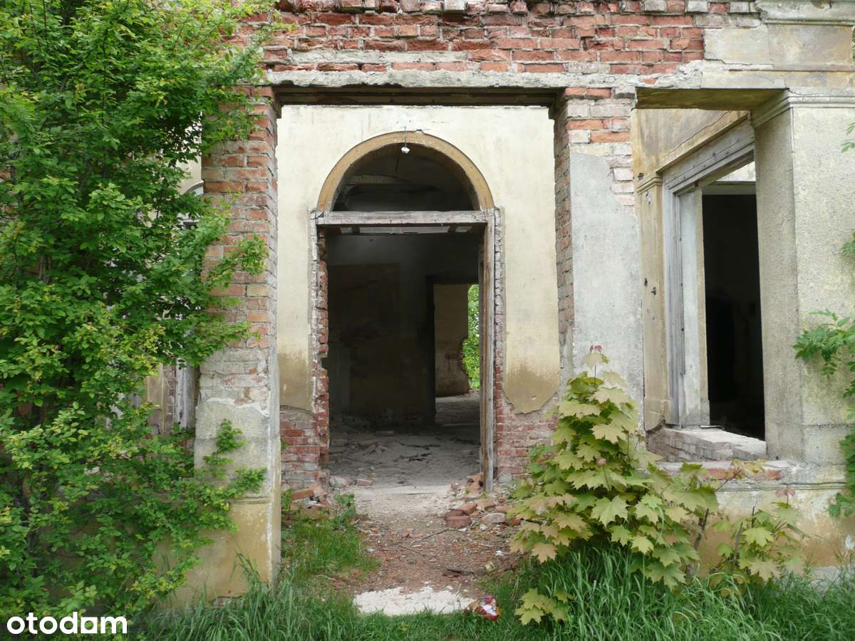 Zabytkowy Dwór z Parkiem-13