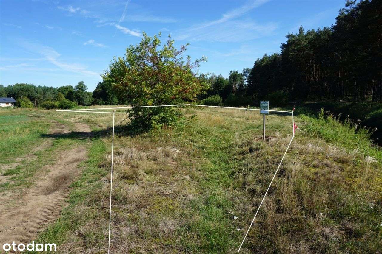 Działka 908 m² nad rzeką Czarną, Przyłęk, Paradyż-4