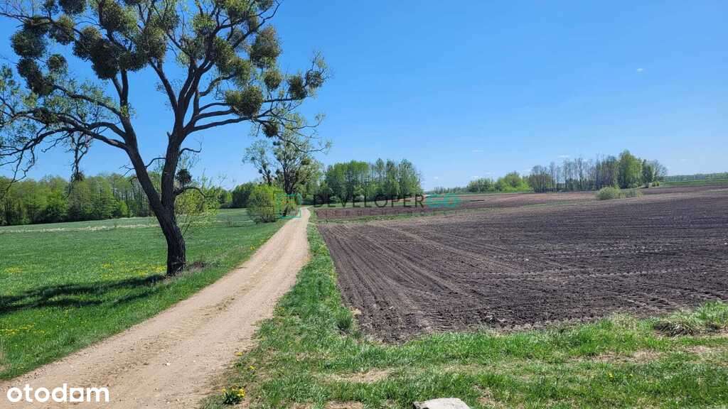 Siedlisko z Potencjałem Gospodarczym w Danowie - Pełny obrazek: 3/9