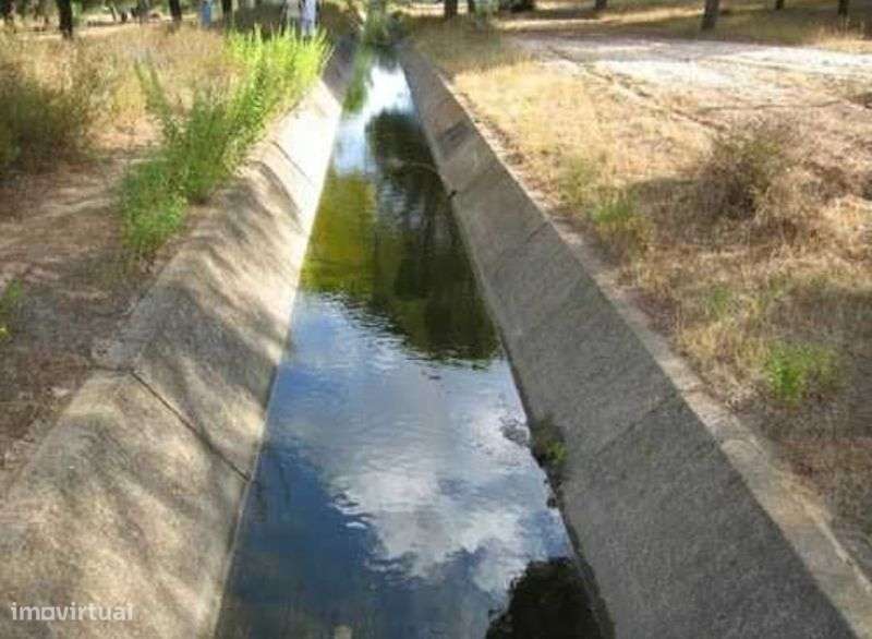 Propriedade com 110 Hectares - Grande imagem: 5/6