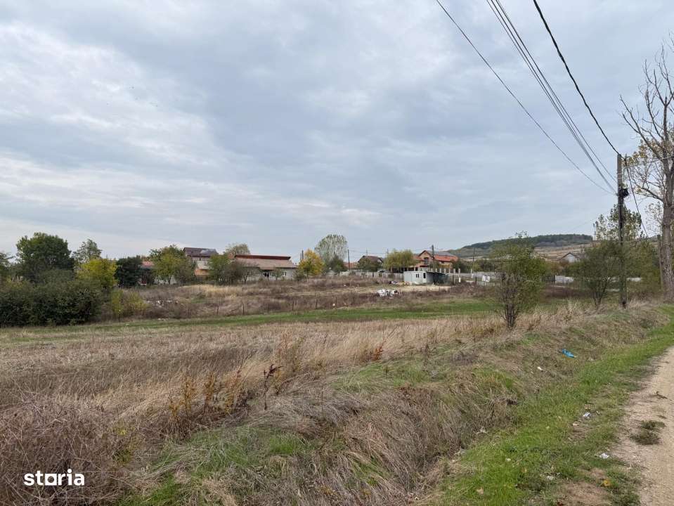 Teren extravilan 8665 mp, Fratostita, Filiasi, COMISION ZERO PENTRU CU - Imagine principală: 2/3