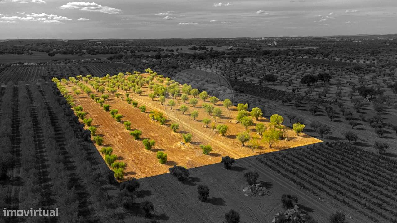 Terreno  para venda - Grande imagem: 5/20