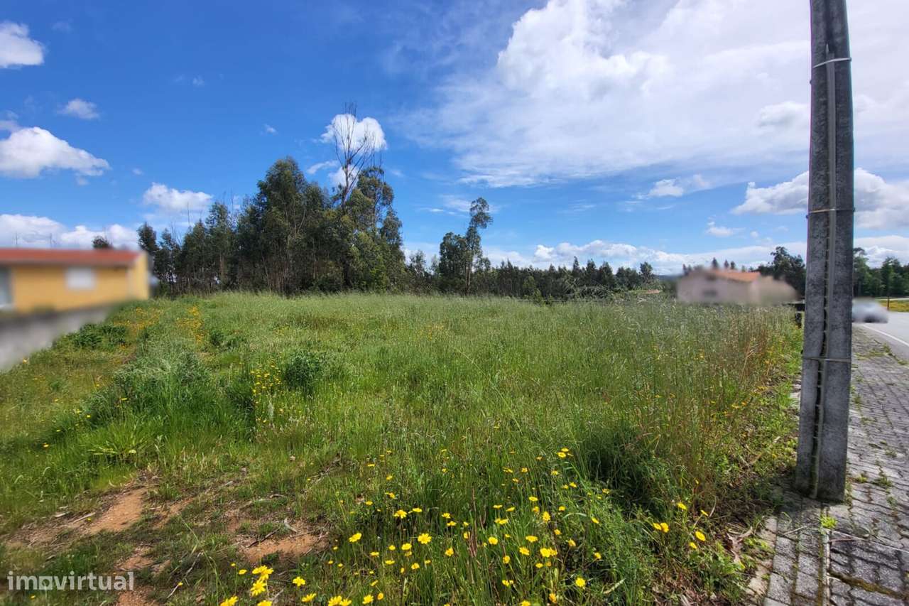 Terreno, Viseu, Tondela, Molelos - Grande imagem: 3/5