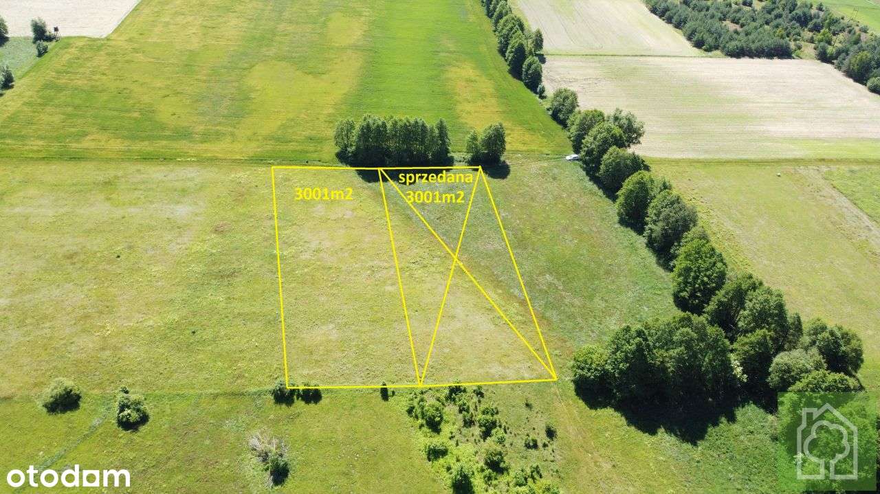 Działka, 3 001 m², Gutowo - Pełny obrazek: 2/7