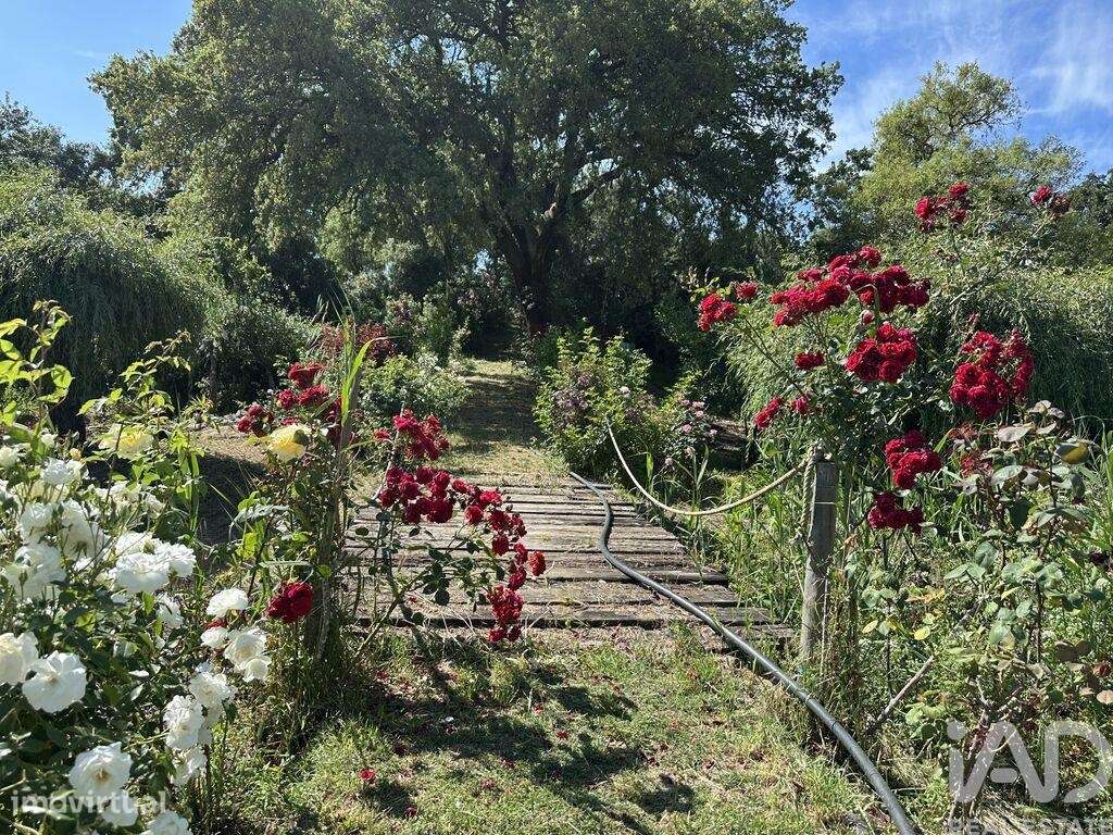 Terreno em Arneiro das Milhariças de 259,00 m2 - Grande imagem: 2/21