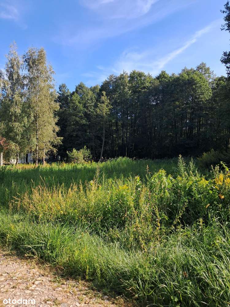 Działka budowlana 1200 m 2 w Pęclinie, gm. Wiązowna, woj. mazowieckie-4