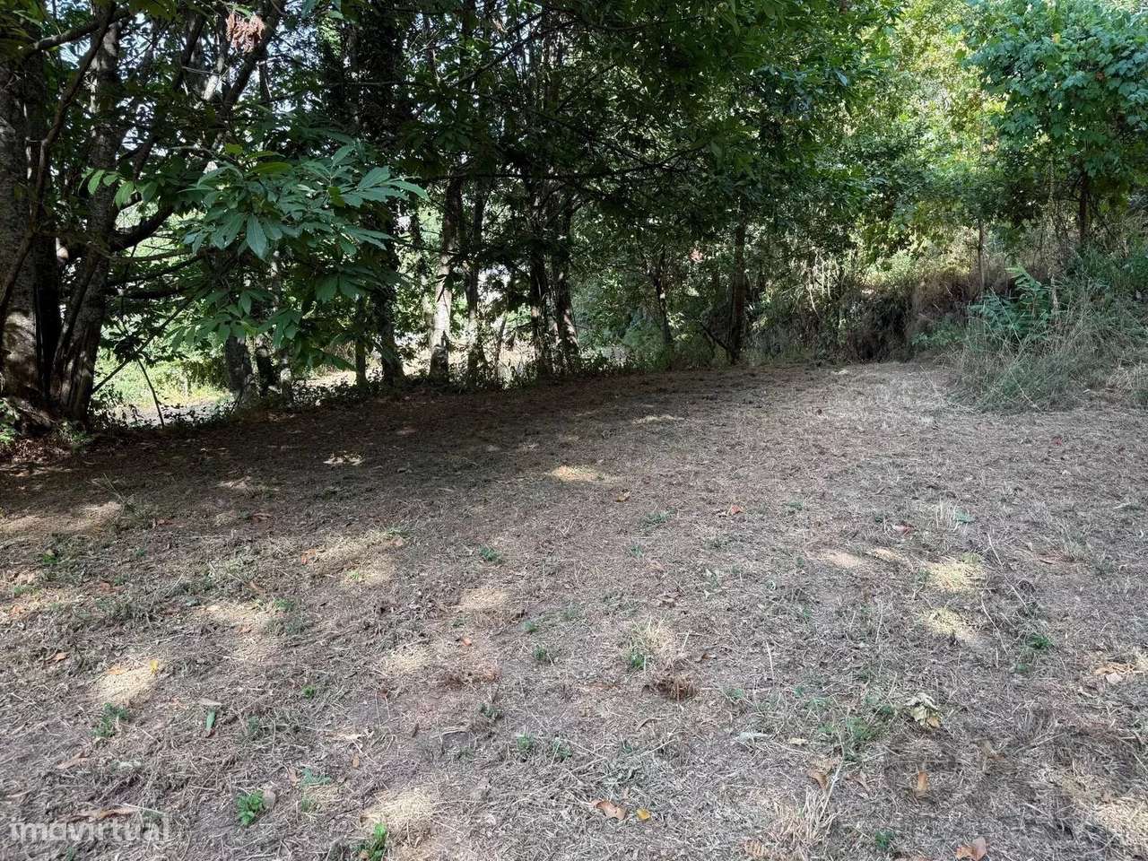 Terreno à Venda em Aviture, Cinfães - Grande imagem: 5/20