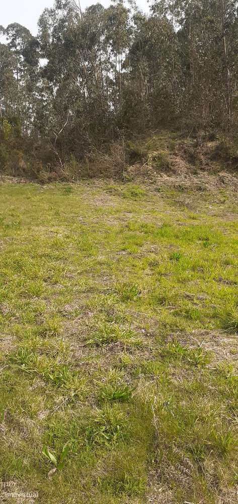 Terreno urbanizável em Sanguedo, Santa Maria da feira-14