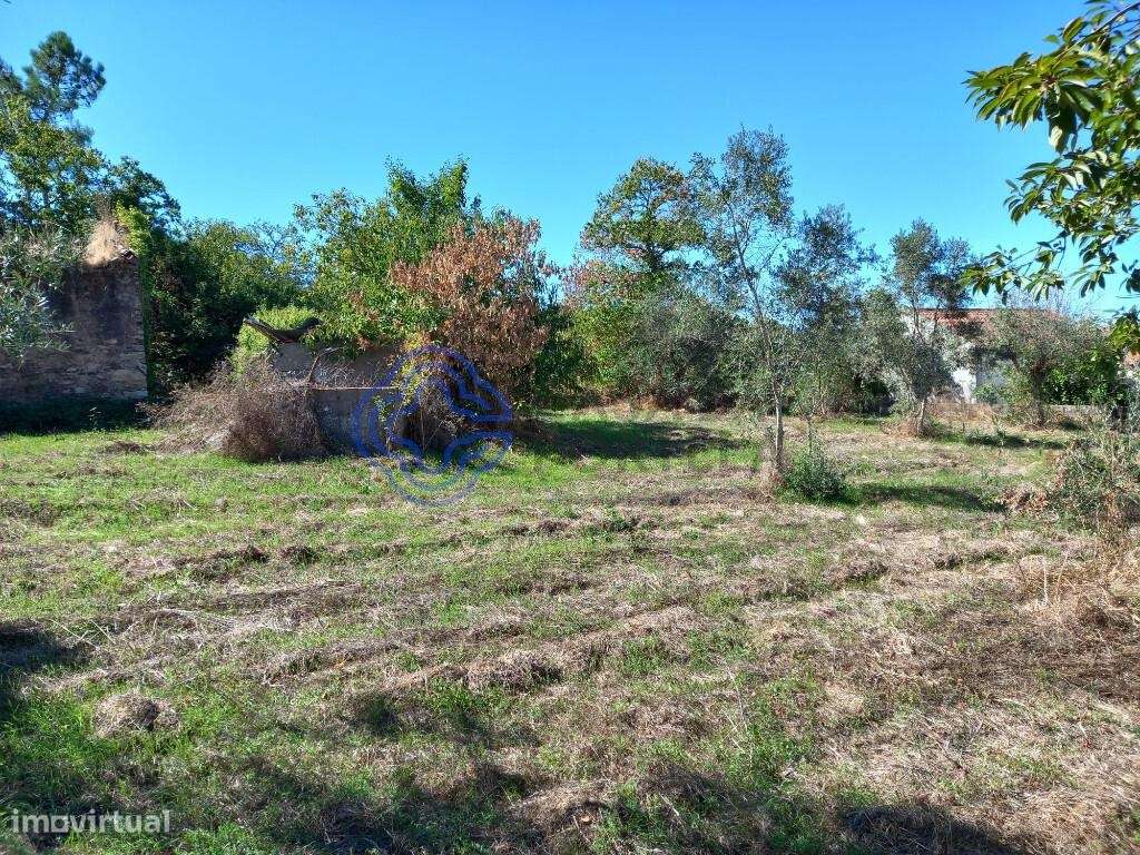 Terreno para construção com 760 m2 a 5 minutos da Aldeia de Dornes no - Grande imagem: 4/19