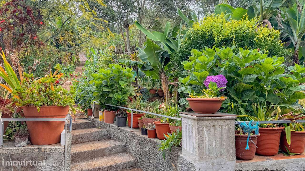 Casa Térrea em Santa Cruz-24