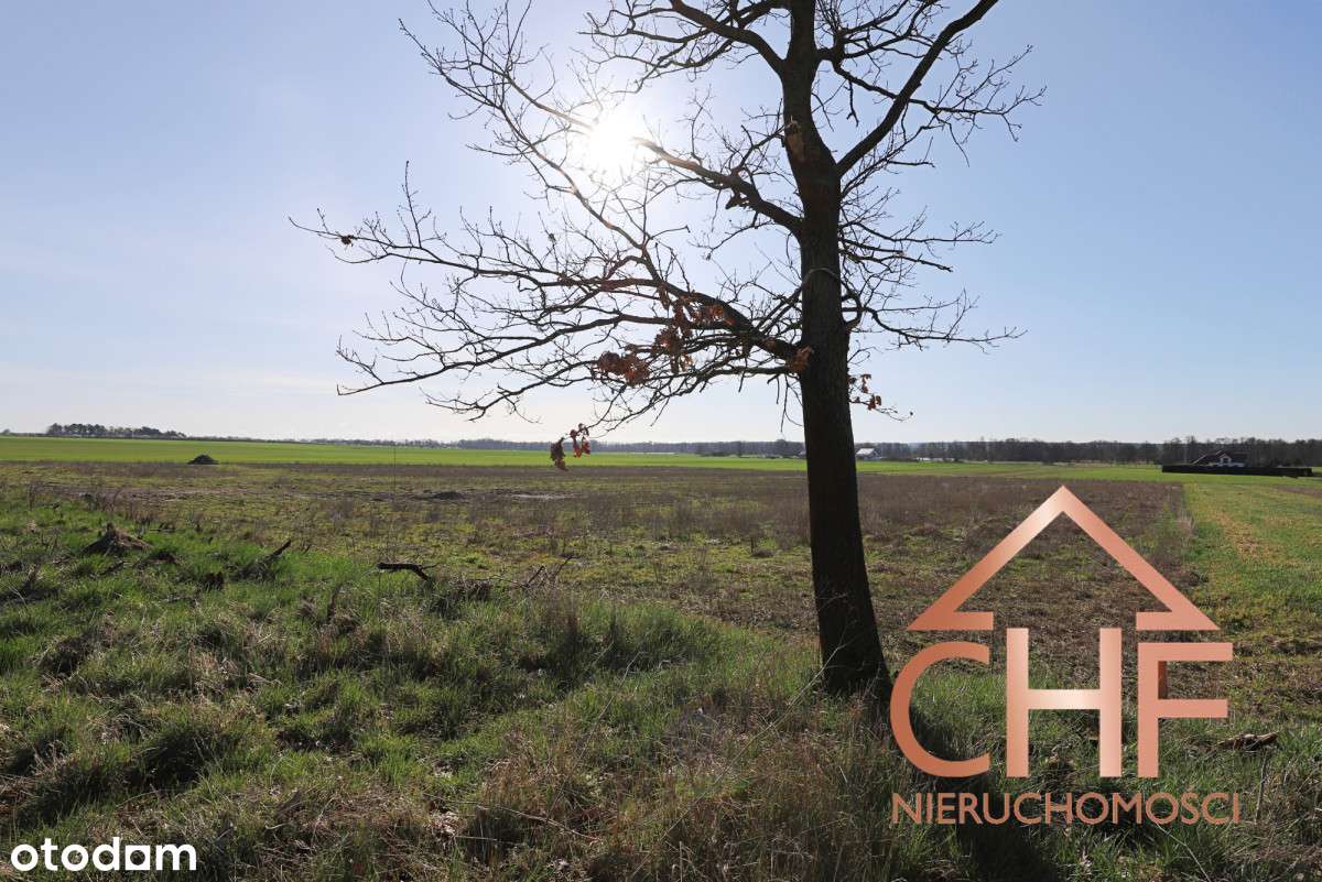 Działki pod zabudowę jednorodzinną w Grodziszcze - Pełny obrazek: 5/11