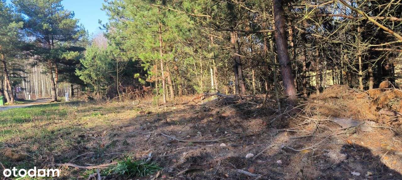 Działka 1500m , w zielonym rejonie z Mpzp. - Pełny obrazek: 5/5