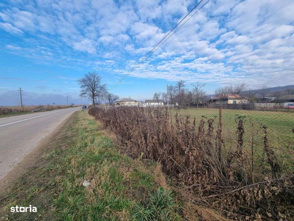 Casa + teren 2600 mp- Com. Negri- scop rezidential sau industrial - Imagine principală: 3/12