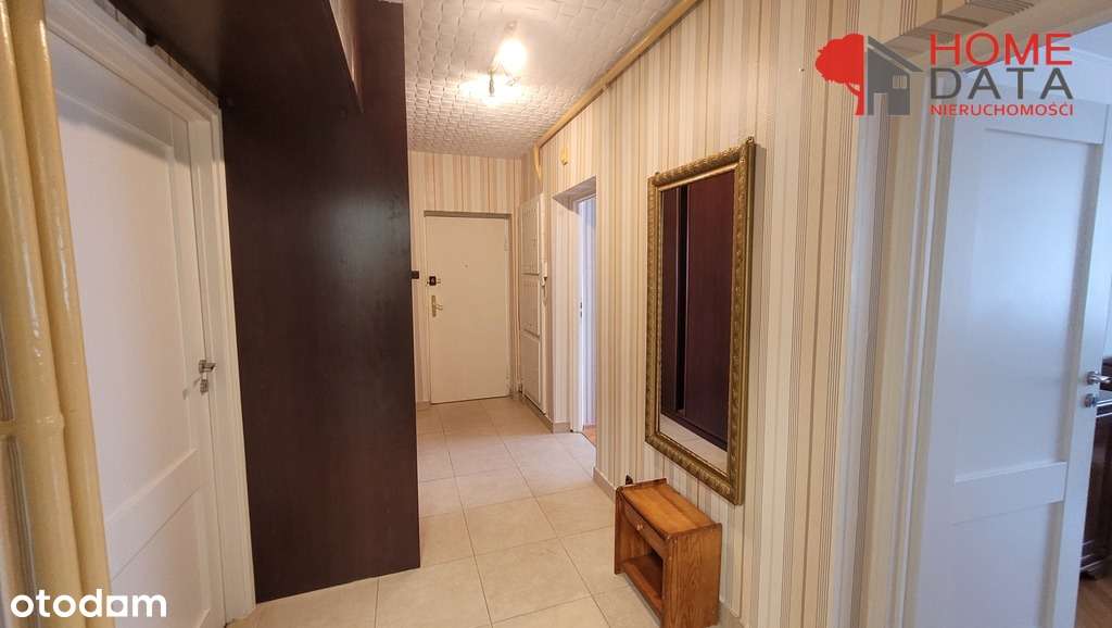 3 pokoje z ładnym widokiem - Grunwald, Poznań-9