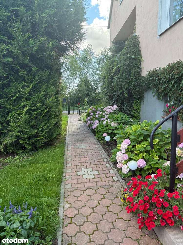 Dom na Mazurach Zachodnich - cisza i natura w Janikach Wielkich - Pełny obrazek: 2/18