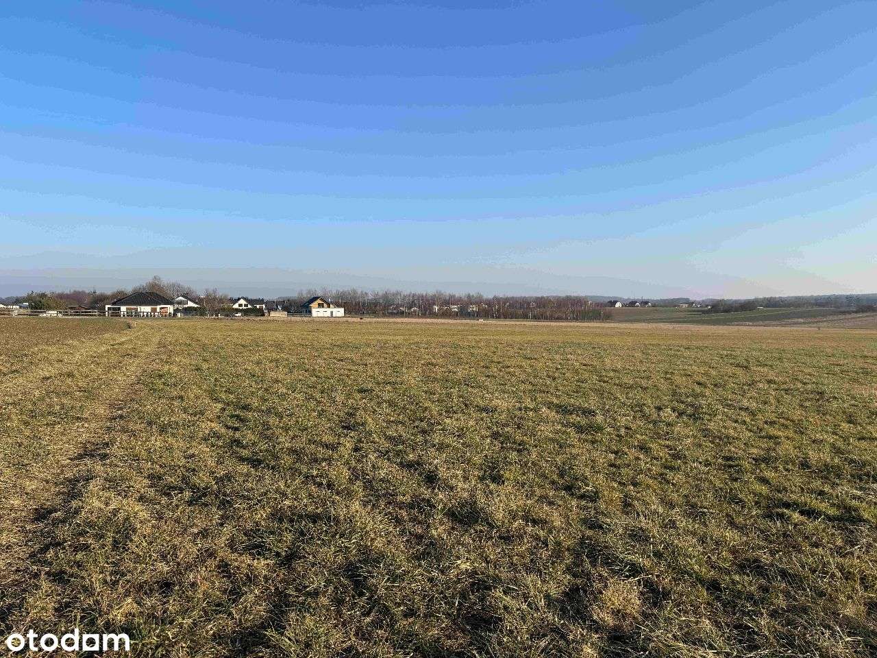 Widokowe działki na Osiedlu Kolejarzy NIŻSZA CENA! - Pełny obrazek: 5/8
