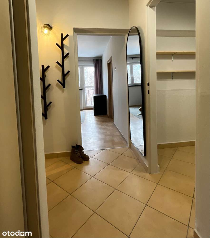 Centrum Sosnowiec 2 pokoje mieszkanie na wynajem for rent - Pełny obrazek: 3/7