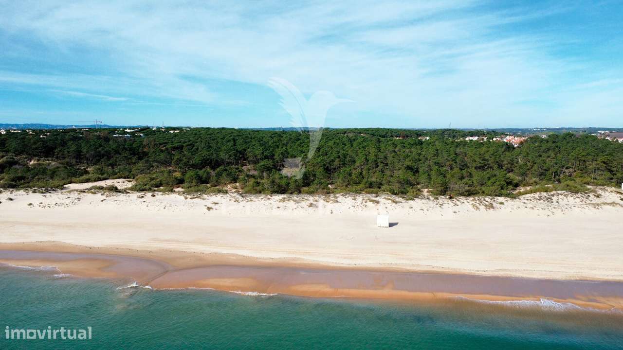 Terreno com 31.5ha com 500 metros de frente de praia - Grande imagem: 5/19