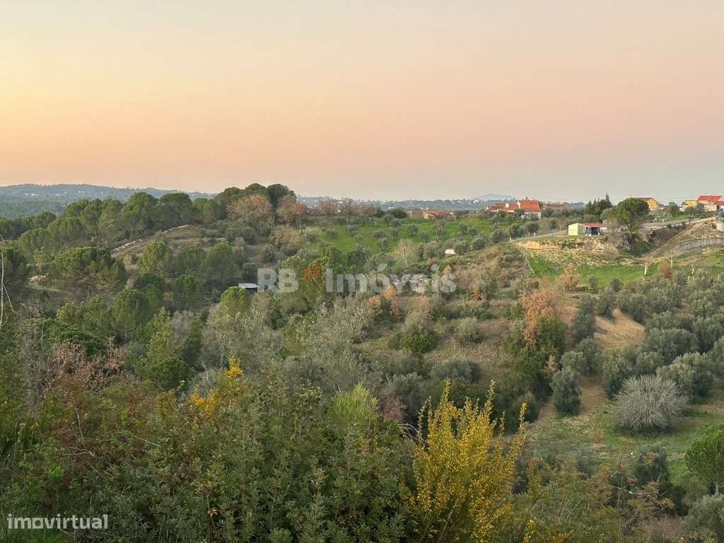 Terreno à venda em Tomar - Caniçal, Tomar - Grande imagem: 1/25