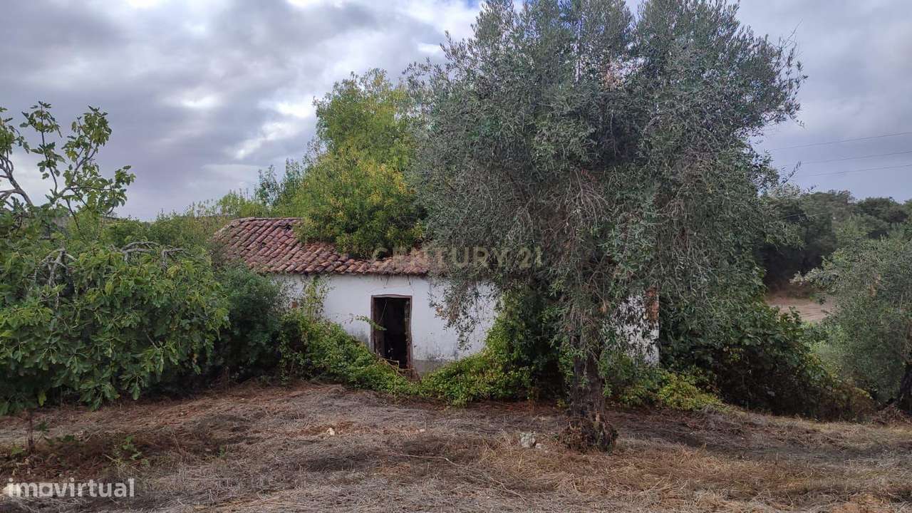 Casa de Campo em São Vicente do Paul, Santarém - Oportunidade Única-18