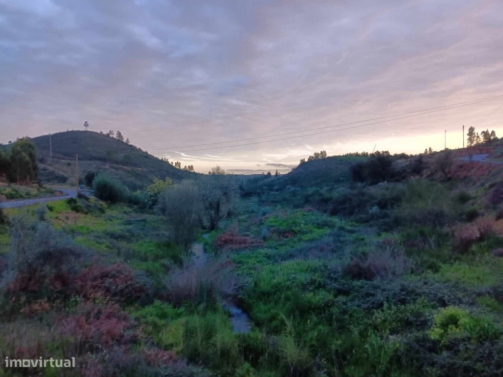 Terreno Rustico a confinar com Ribeira em Mação