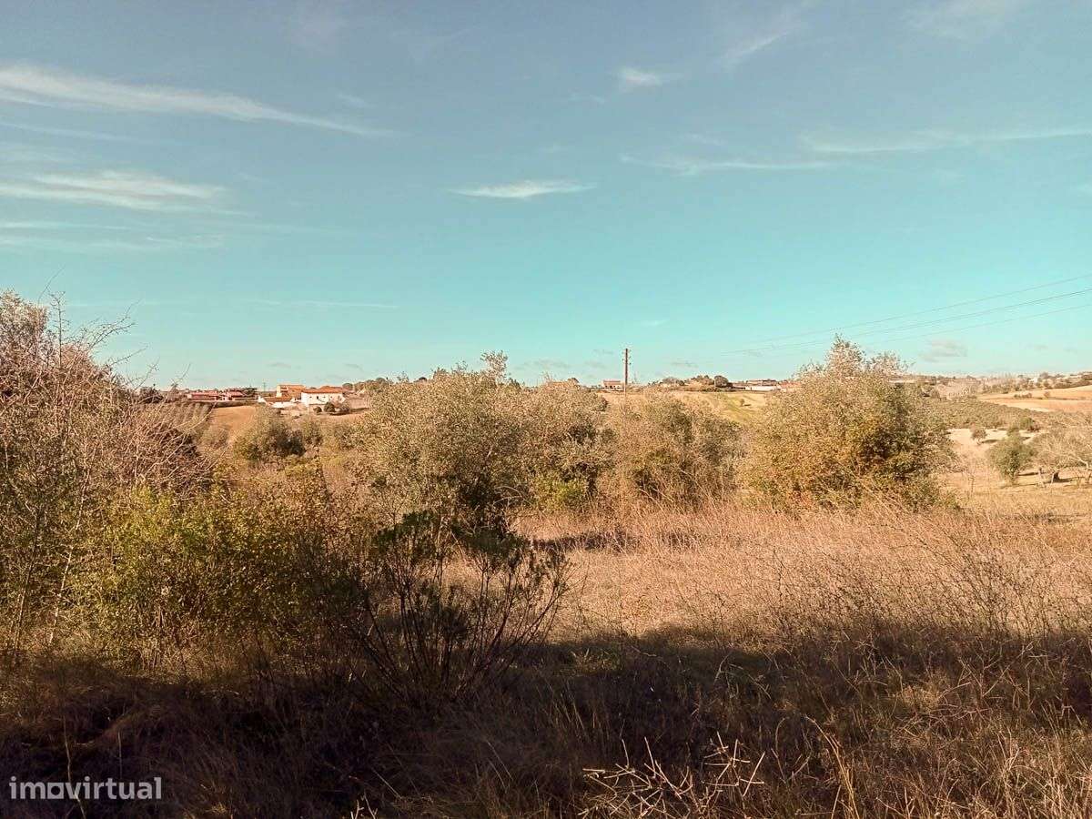 Terreno, Santarém - Grande imagem: 2/8
