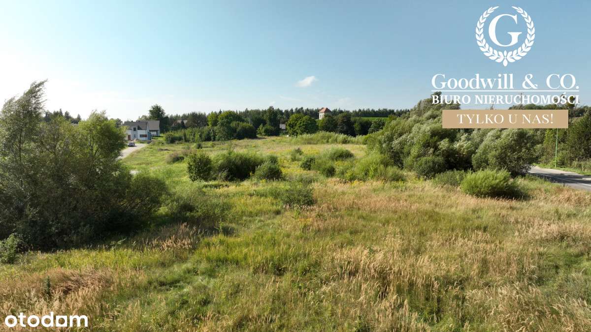 Działka budowlana w Bielkowie, las, jezioro - Pełny obrazek: 5/5