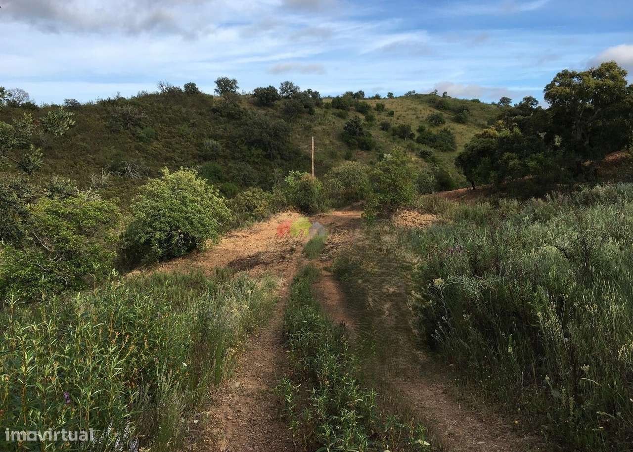 Terreno rústico com nascente de água e belas vistas na serra de Tav - Grande imagem: 2/15