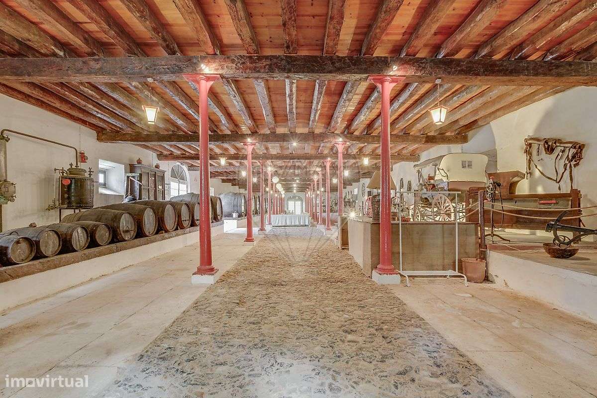 Quinta T21 para venda-21