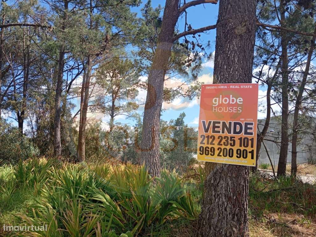 Lote de Terreno para construção de Moradia T4-11